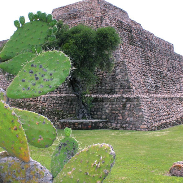 Visitar la Zona Arqueológica Cañada de la Vírgen – GUANAJUATO, ARQUEOLOGÍA